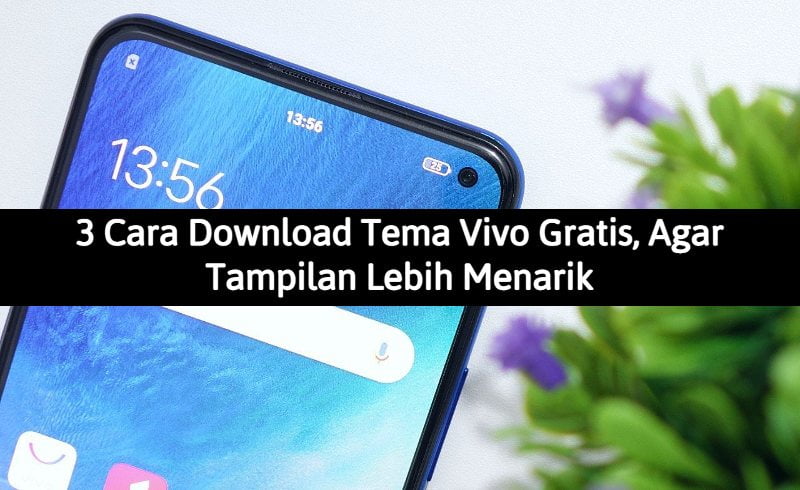 Download Tema Vivo Gratis